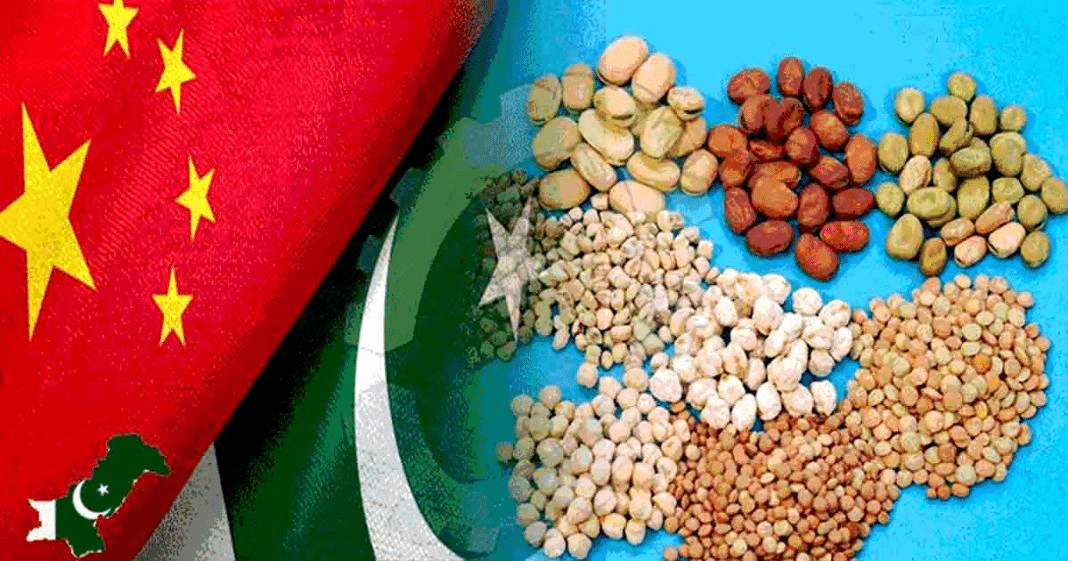 Roundup: Pak-China Seed Cooperation Important For Pakistan’s Food Security-zhsailing