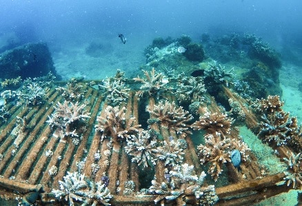 China Mulls Accountability System On Marine Environment Protection-zhsailing