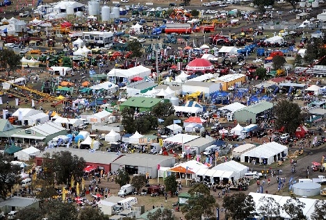 12439 16912033883479