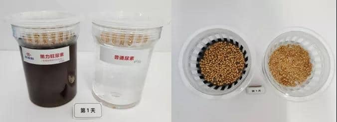 12522 16808592887376